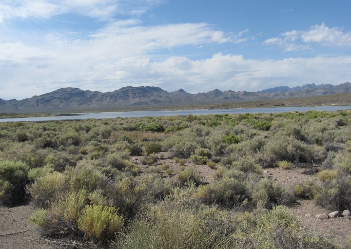 Pahranagat National Wildlife Refuge